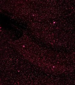 Pink Gellac - Dramatic Red - Gellak - Vegan - Rood - Shimmer Finish - 15 Ml -Schoonheidsproducten Winkel 1050x1200 38