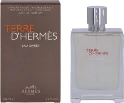 Hermes Terre D'Hermes Eau Givree Eau De Parfum 100 Ml -Schoonheidsproducten Winkel 1200x1001