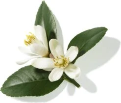 Lancôme Poême 30 Ml - Eau De Parfum - Damesparfum -Schoonheidsproducten Winkel 1200x1019