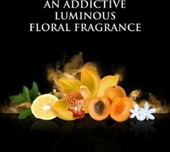 Beyonce Rise - 100ml - Eau De Parfum -Schoonheidsproducten Winkel 1200x1068