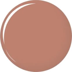 L'Oréal Paris Color Riche Shine Lippenstift - 658 Topless -Schoonheidsproducten Winkel 1200x1198 2