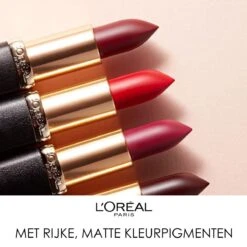 L'Oréal Paris Make-Up Designer Color Riche Matte Addiction - 652 Stone - Lipstick -Schoonheidsproducten Winkel 1200x1198 3
