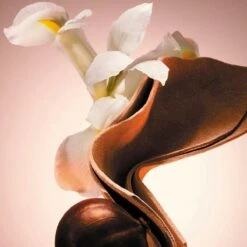 Hugo Boss The Scent Le Parfum Eau De Parfum 100 Ml 13 Hugo Boss The Scent Le Parfum Eau De Parfum 100 Ml -Schoonheidsproducten Winkel 1200x1200 257