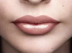 L'Oréal Paris Color Riche Shine Lippenstift - 658 Topless -Schoonheidsproducten Winkel 1200x895