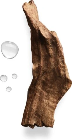 Giorgio Armani Acqua Di Gio Absolu 75ml - Eau De Parfum - Herenparfum -Schoonheidsproducten Winkel 616x1200